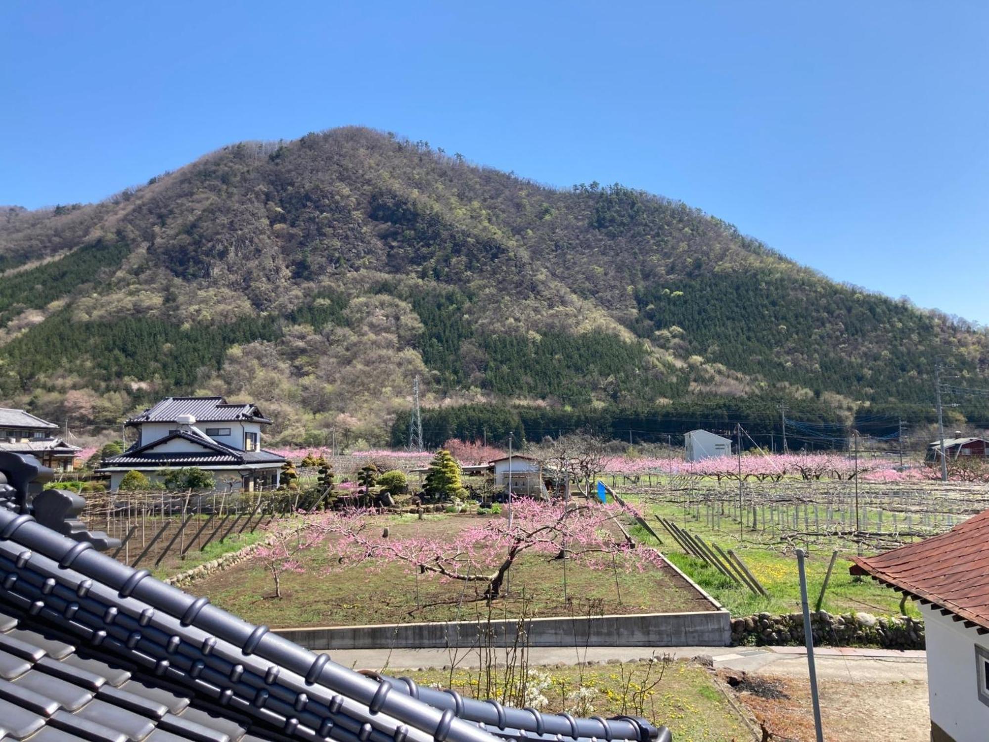 B&B Ladies Only Grape Mama Peach Room - Vacation Stay 11708 Koshu Exterior photo